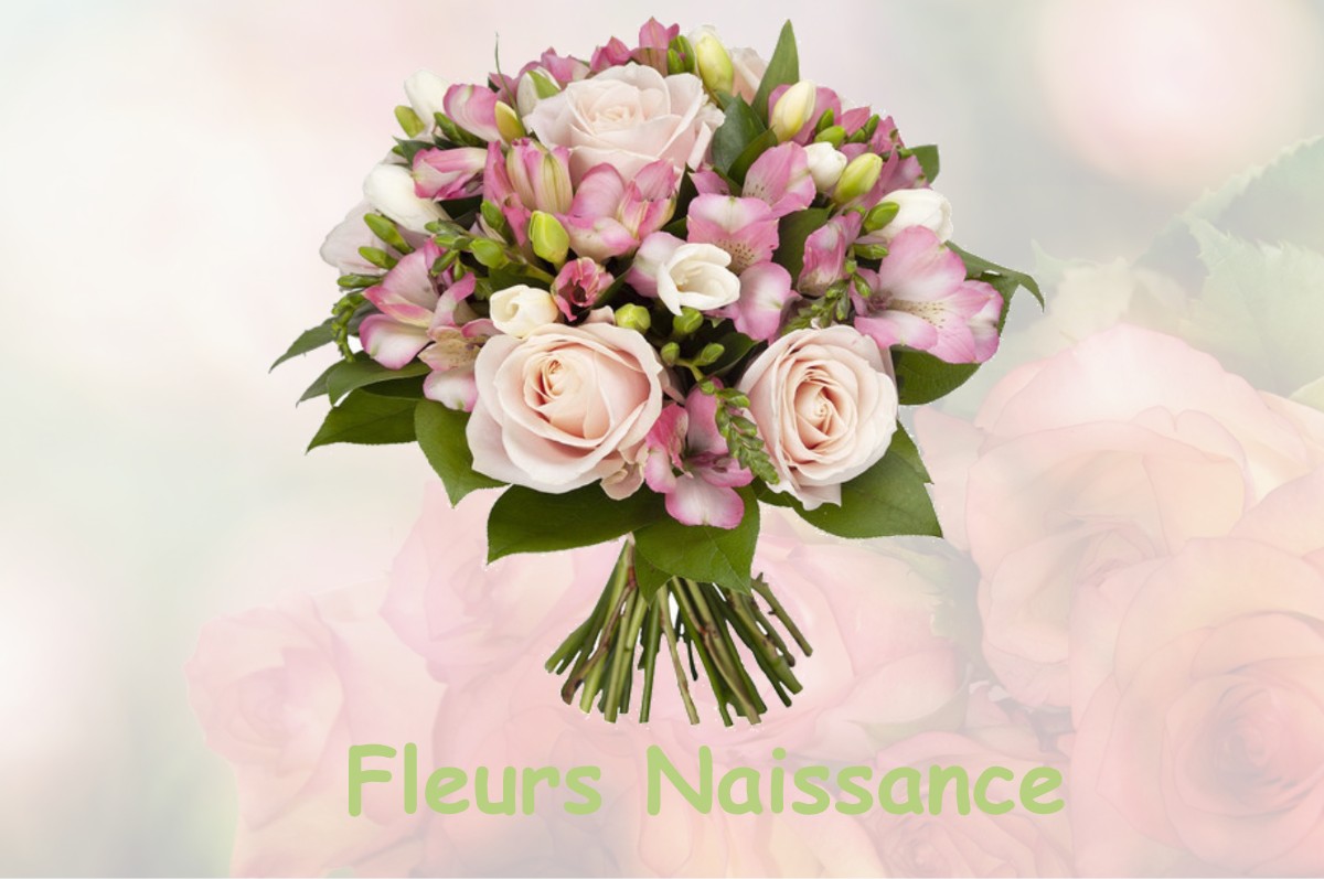 fleurs naissance NOISY-SUR-OISE