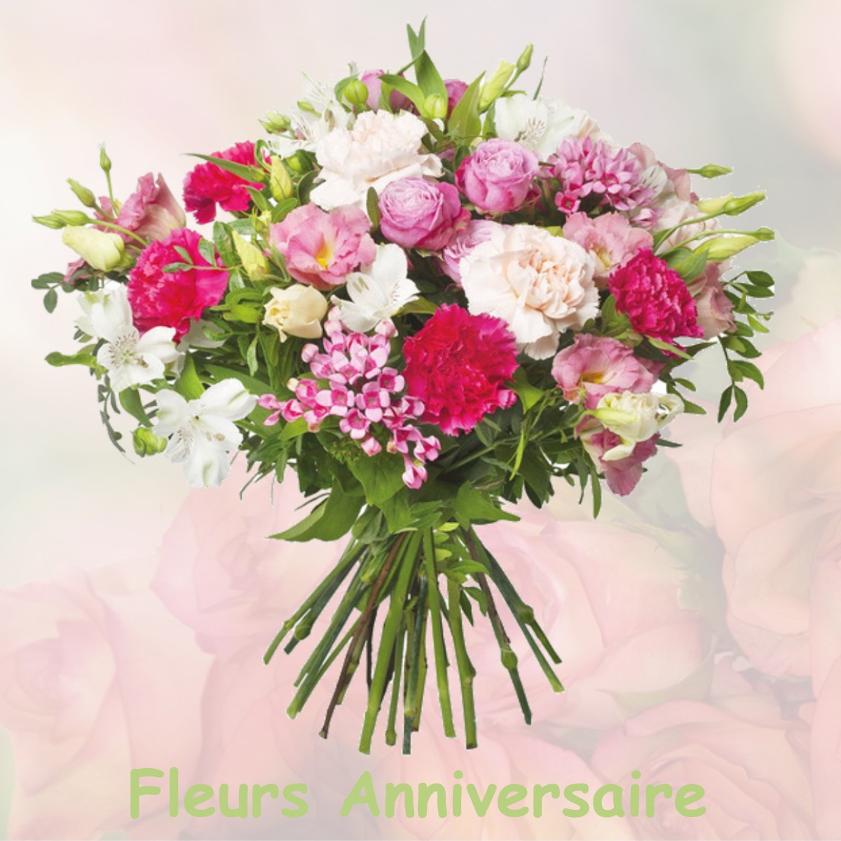 fleurs anniversaire NOISY-SUR-OISE